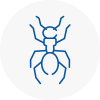 Ant Removals In Burton