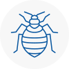 Bed Bug Extermination In Burton