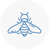 Bee Nest Removal Burton