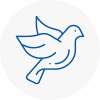 Bird Prevention Burton