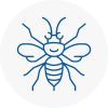Burton Hornet Nest Removals