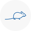 Mice Exterminators In Burton