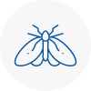 Moth Control Specialists In Burton
