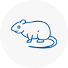 Rat Control Burton