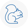 Burton Rodent Removals