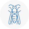 Burton Wasp Nest Removal